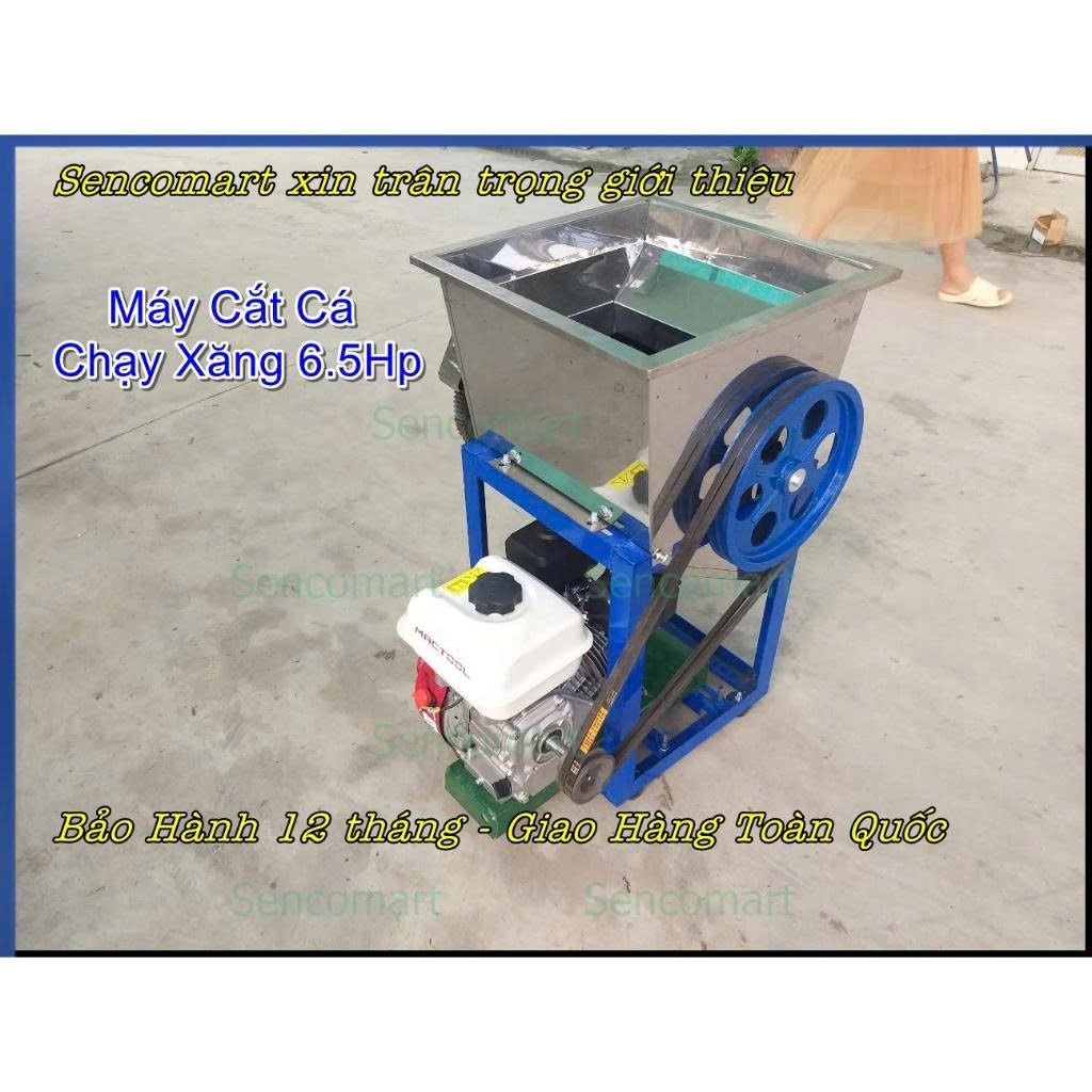 Máy thái cá mồi làm thức ăn cho thủy hải sản 6,5 HP