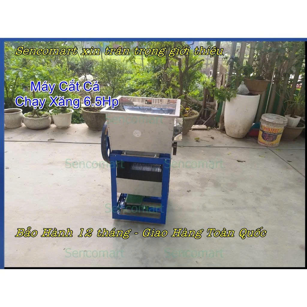 Máy cắt cá tạp, máy thái cá mồi làm thức ăn cho thủy hải sản 6,5 HP