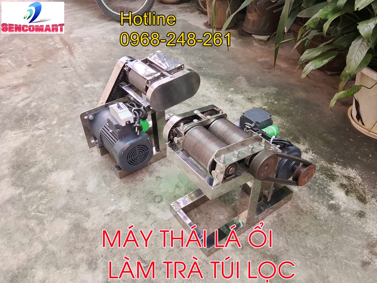 Máy thái lá ổi làm trà túi lọc