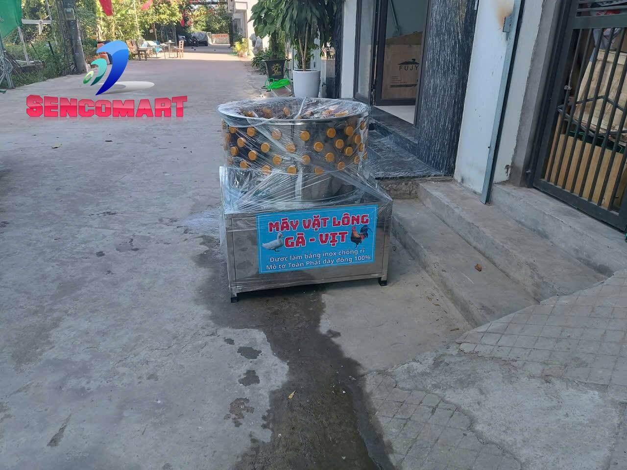 So Sánh Tốc Độ Vặt Lông Của Máy Chó Điện và Máy Vặt Lông Dê Xăng.