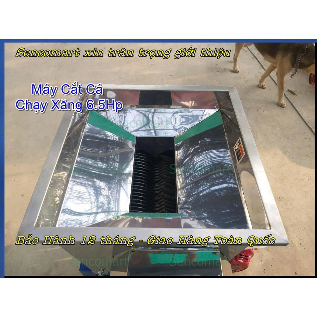 Máy Cắt Cá Mồi Chạy Xăng 25 Lưỡi Cắt Hợp Kim Thép