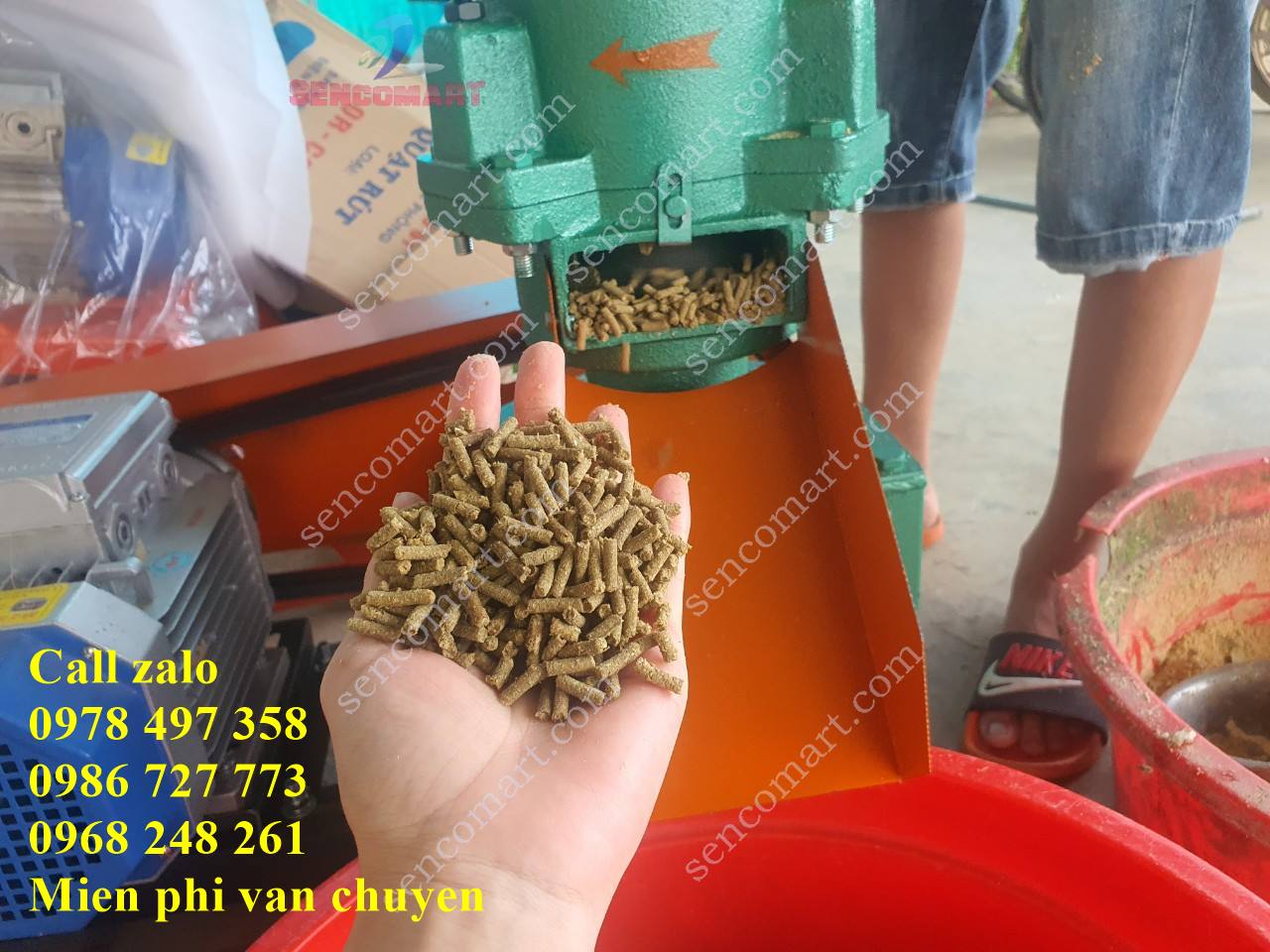 Máy ép cám viên dây curoa 3 quả lô Kyoto DCR-3L