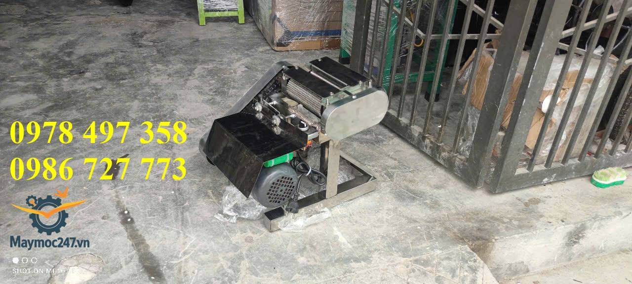 Máy cán khô mực, cán thịt, dầm thịt đa năng 2 lô, motor 200W