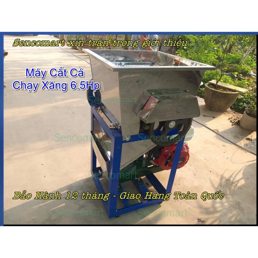 Máy Cắt Cá Mồi Chạy Xăng 25 Lưỡi Cắt Hợp Kim Thép