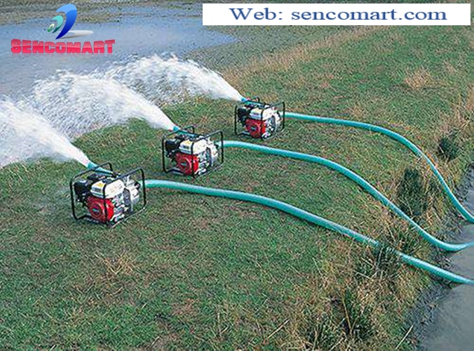 Máy bơm nước chạy xăng Pona CX 20 Gía Rẻ