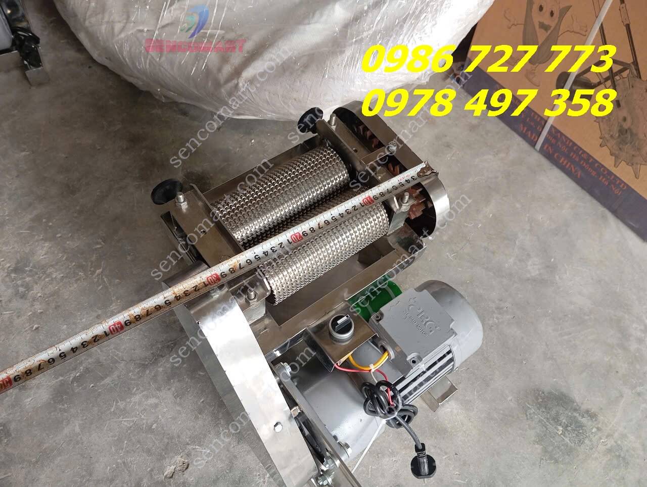 Máy Dầm Thịt Tươi Loại 2 Lô Gai Hàng Việt Nam