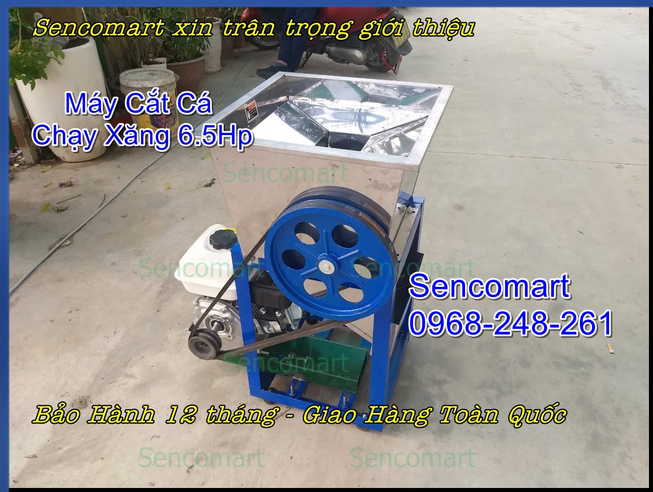 Bảng báo giá máy cắt cá chạy xăng, dùng cho thủy sản