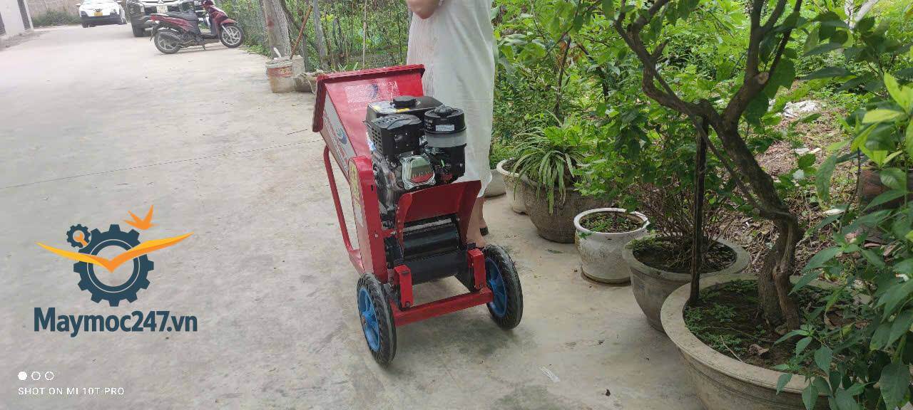 Máy băm nghiền cành cây gỗ các loại